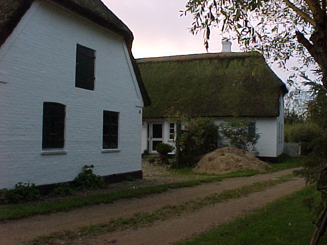 Foto sommer 2000 Arne Hansen, Odense